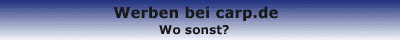 Werben bei carp.de