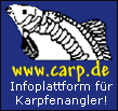 logo.gif