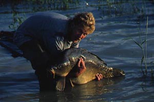 J. Meyer